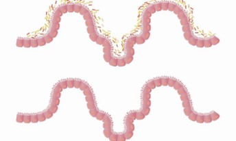 41f7261857bb4ebcccbd64d849c9e715_Xr6-d8-KQkadOTFDQ32KUg_k=1588219488000.png